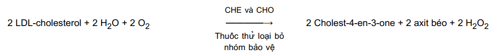 SO SÁNH CÁC CÔNG THỨC TÍNH LDL – hình 3