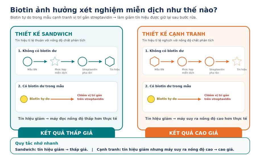 BIOTIN VÀ NHIỄU XÉT NGHIỆM MIỄN DỊCH – hình 7